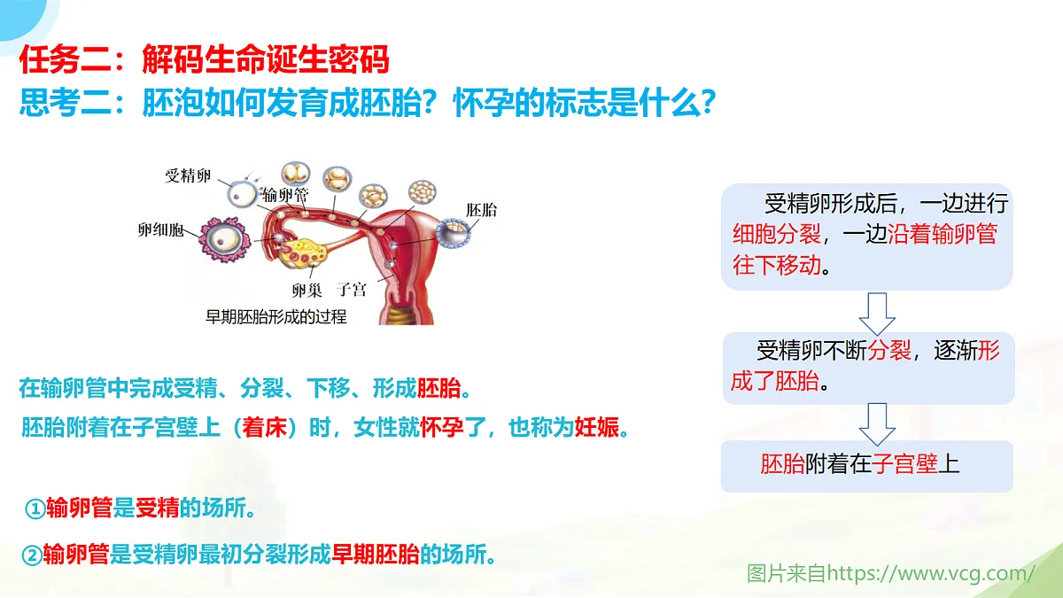 18235110第7页