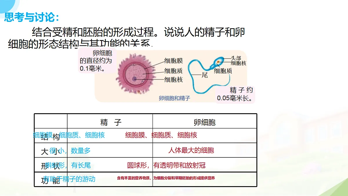 18235110第8页