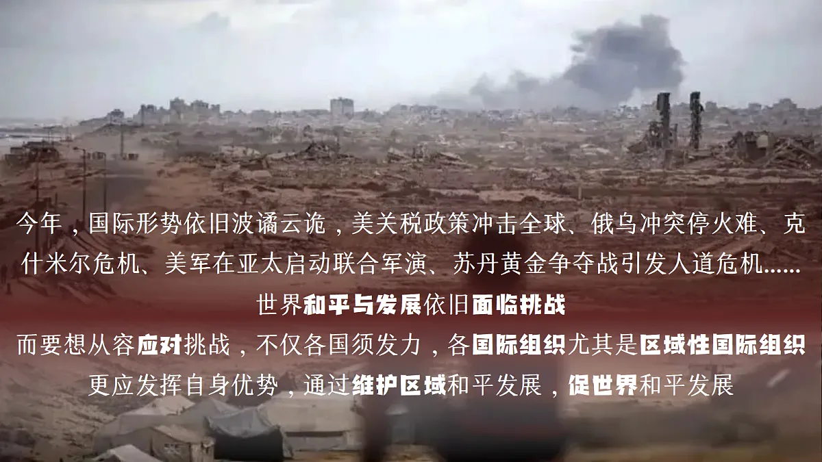 18237691第2页