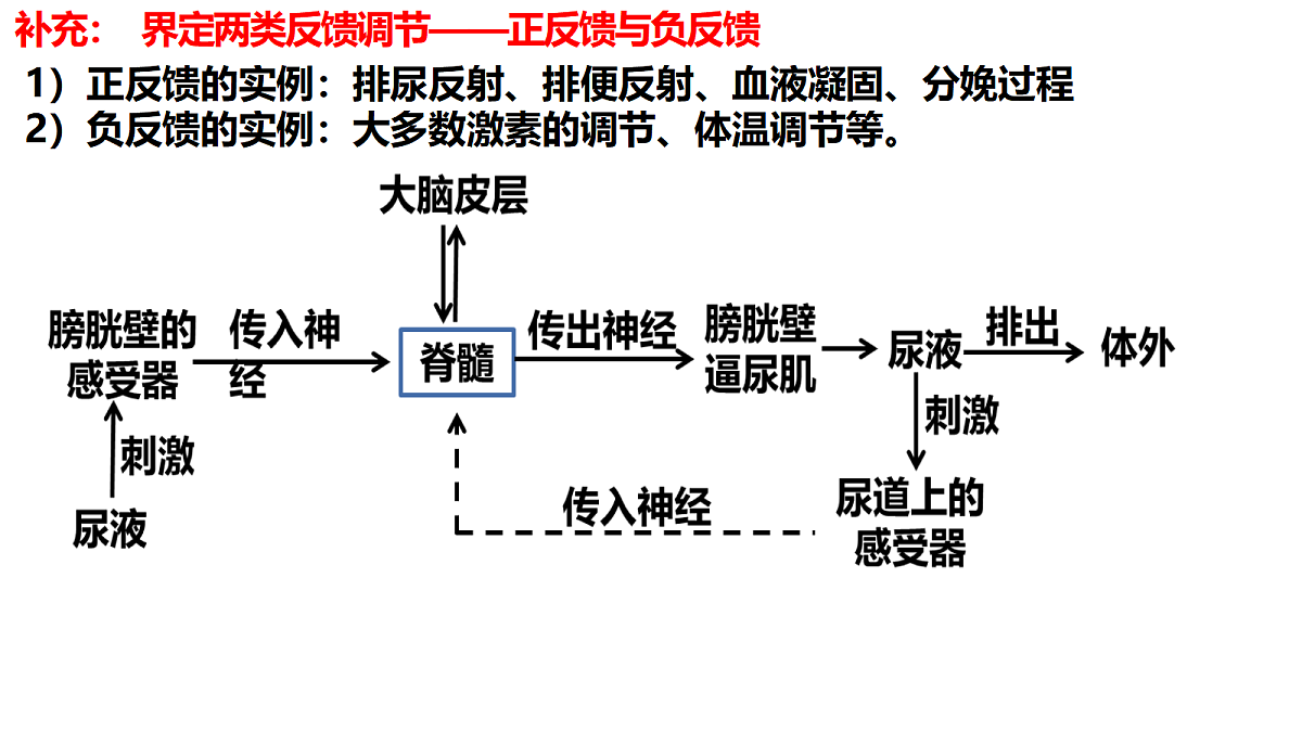 18238186第8页