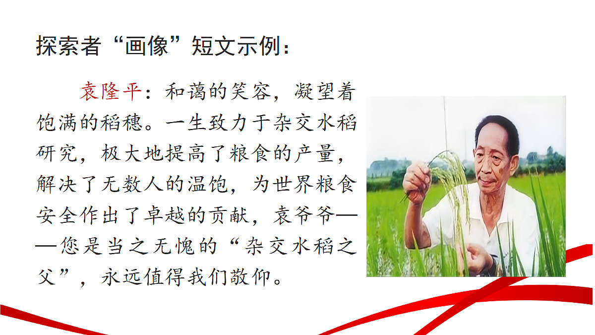 18238526第7页