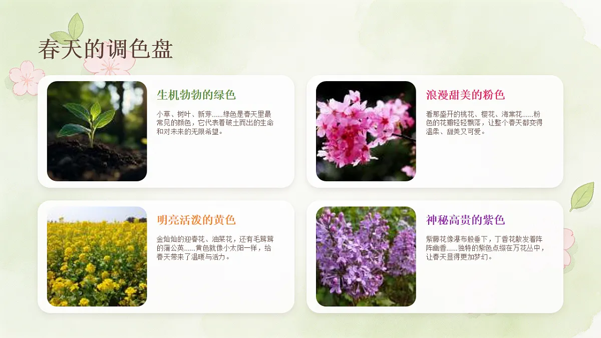 18238533第5页