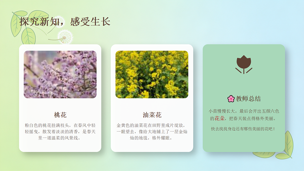 18238534第5页