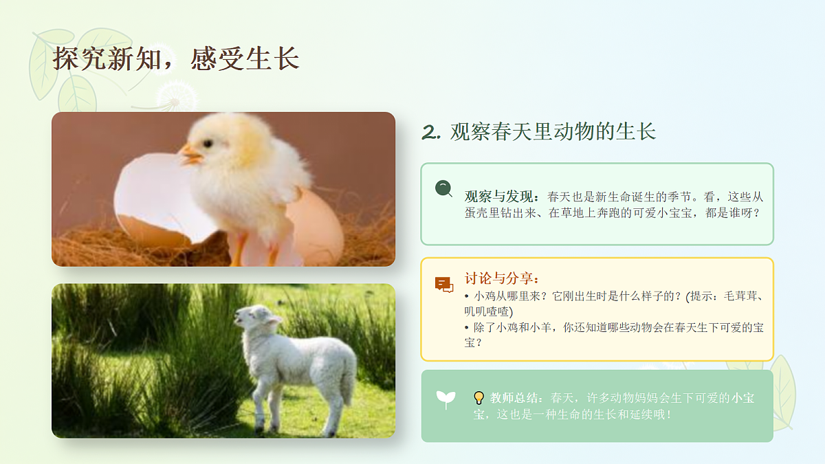 18238534第7页
