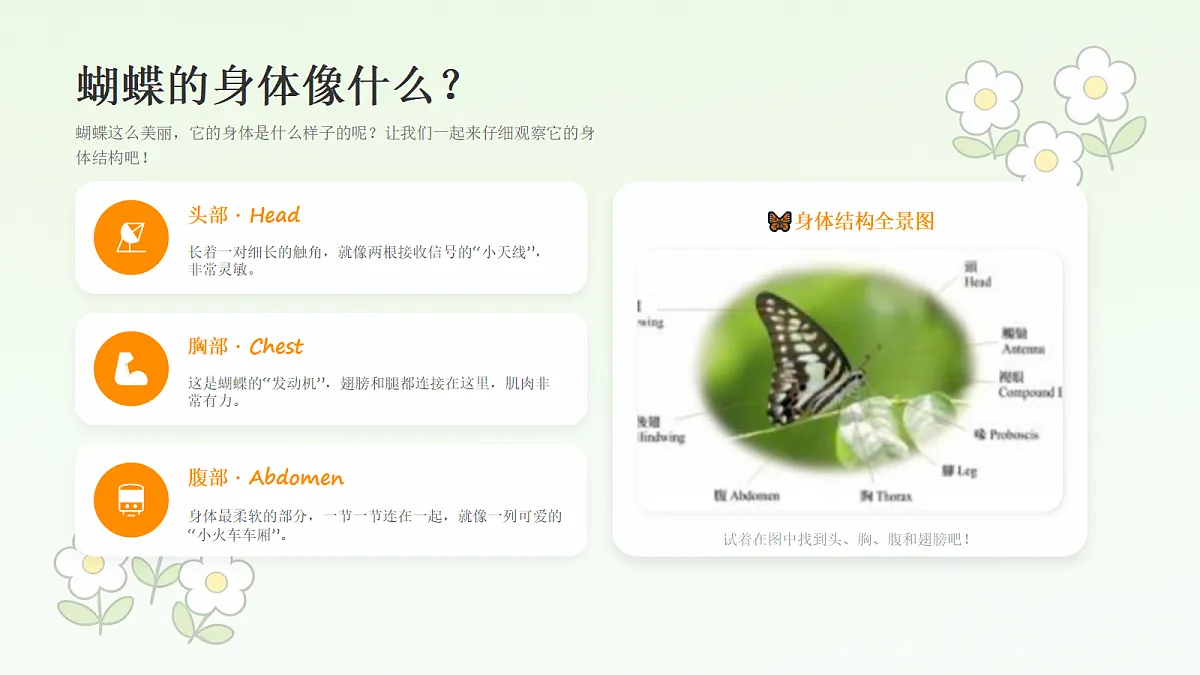 18238543第4页