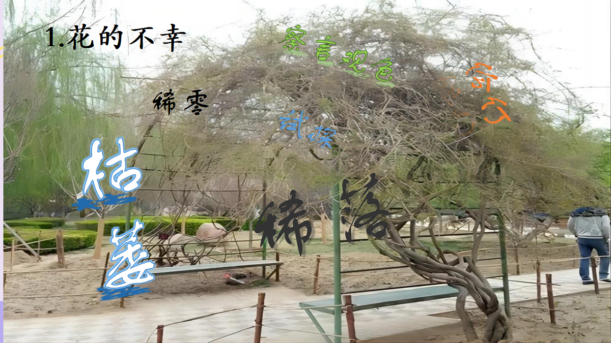 18240144第7页