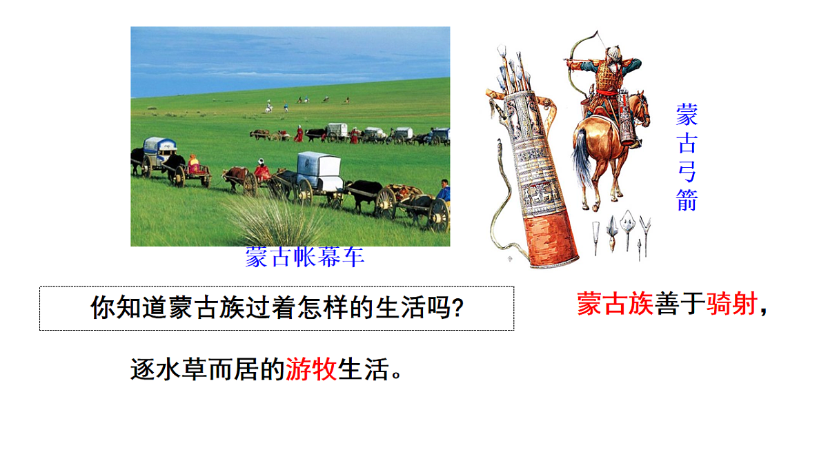 18243053第3页