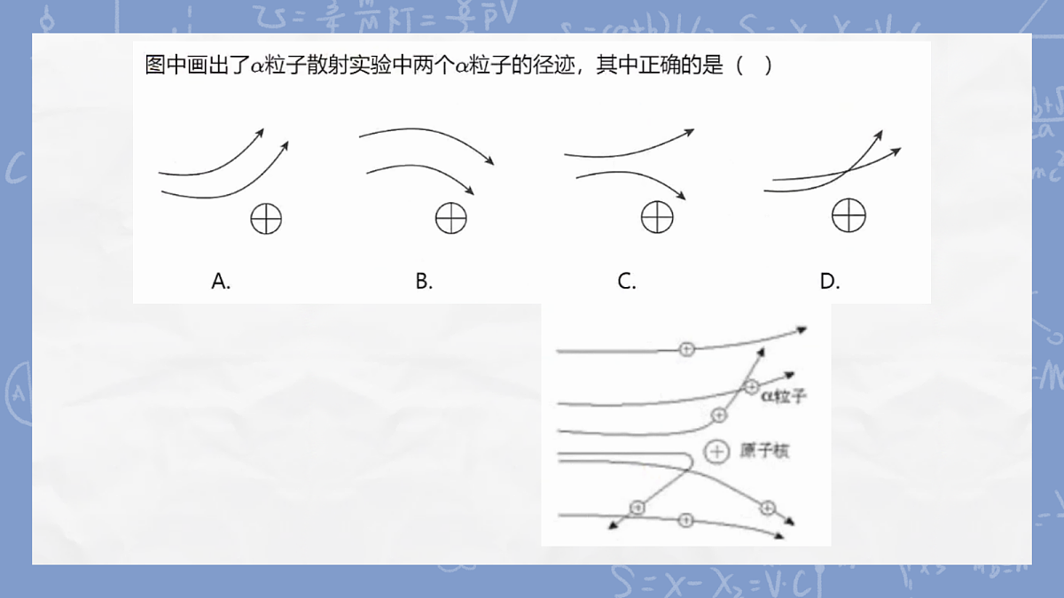 18243204第5页