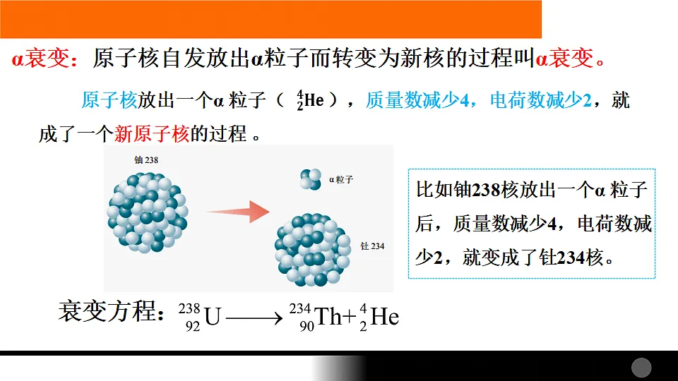 18243208第5页