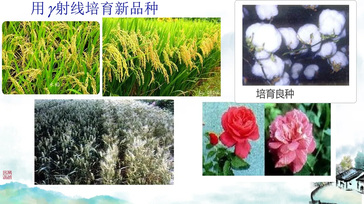 18243210第5页