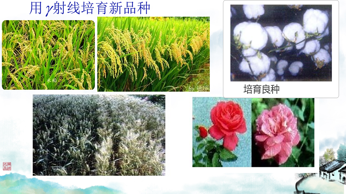 18243210第5页