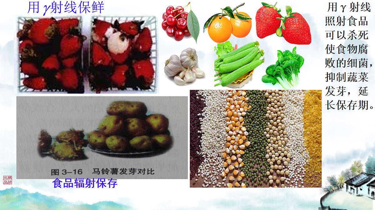 18243210第6页
