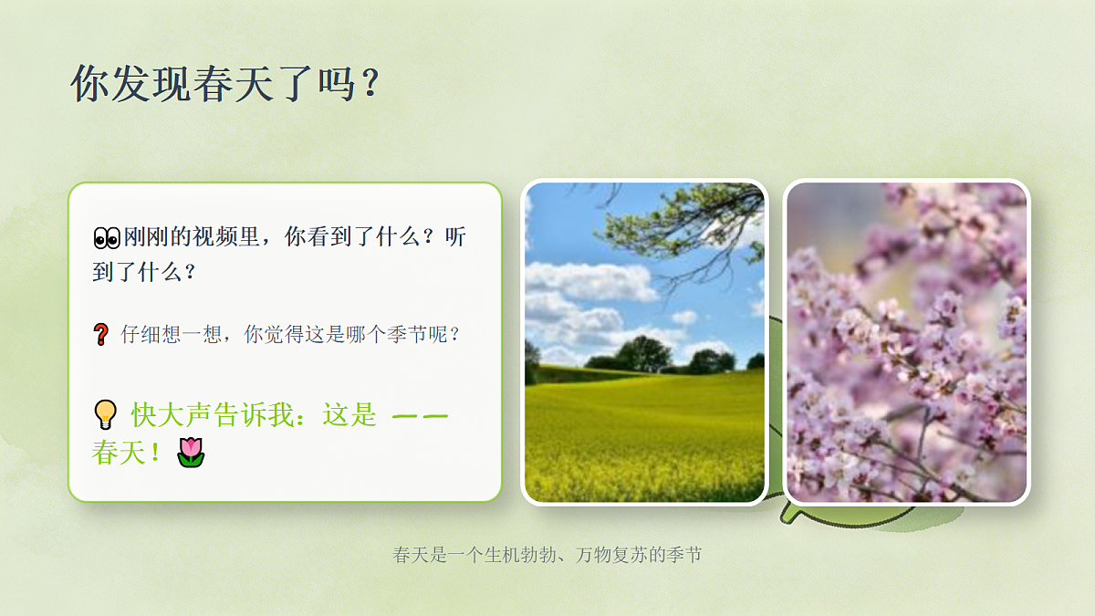 18243465第3页
