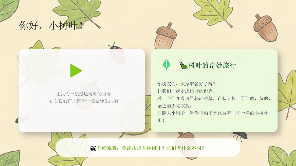 18243466第2页