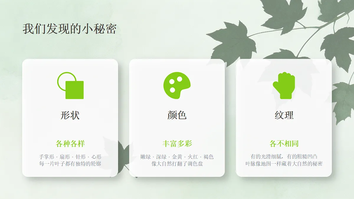 18243466第6页