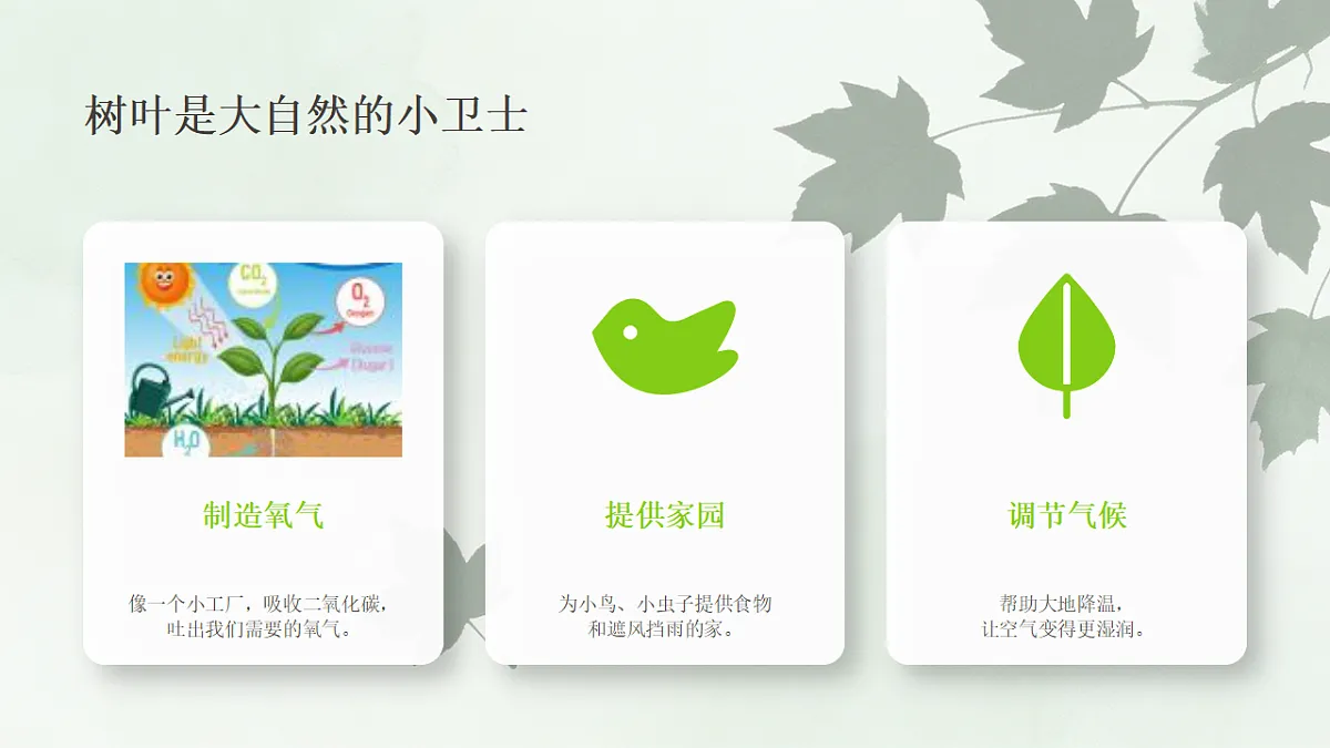 18243466第7页