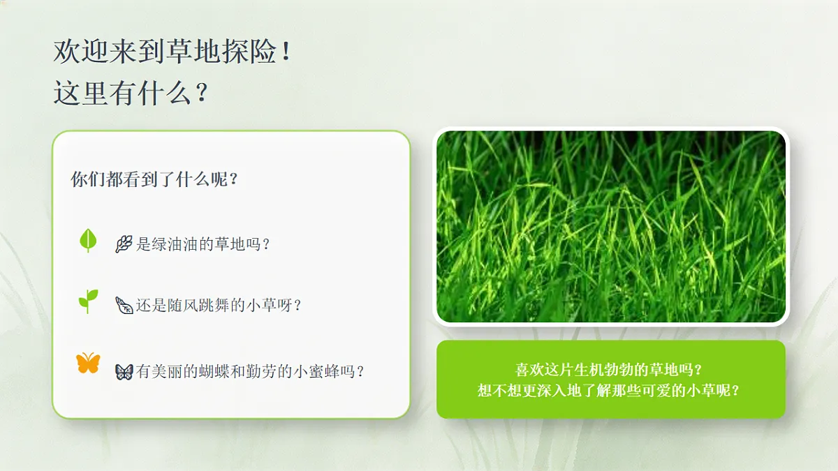 18243478第2页