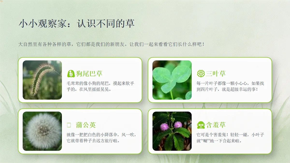 18243478第4页