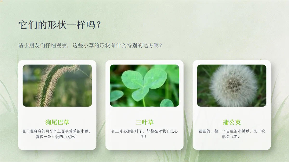 18243478第5页
