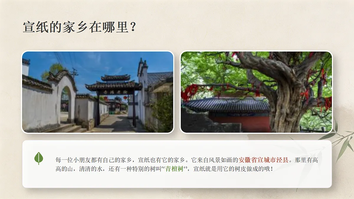 18243480第4页
