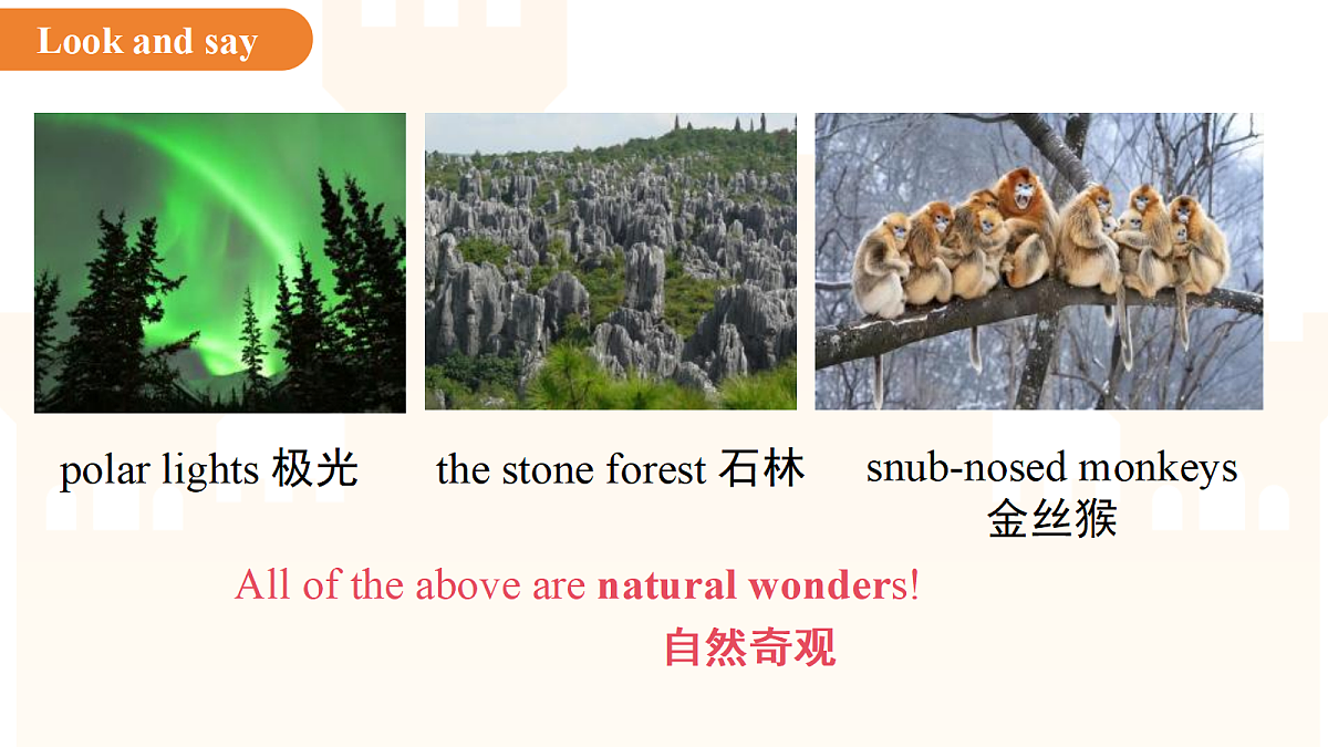 18244908第7页