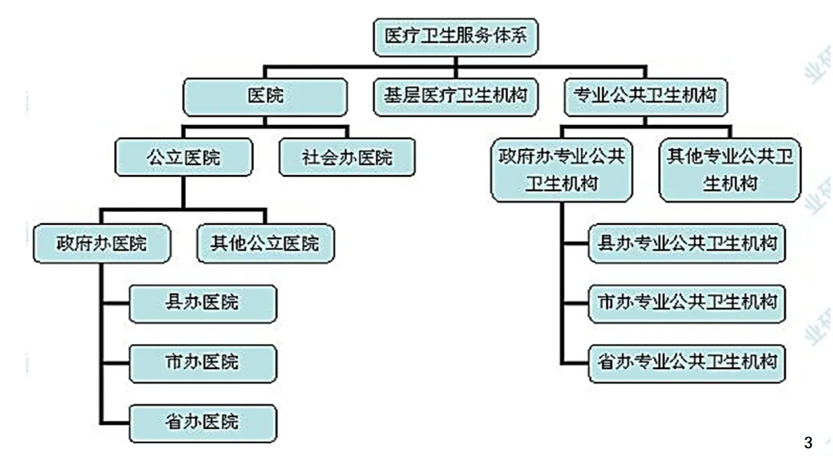 18245478第3页
