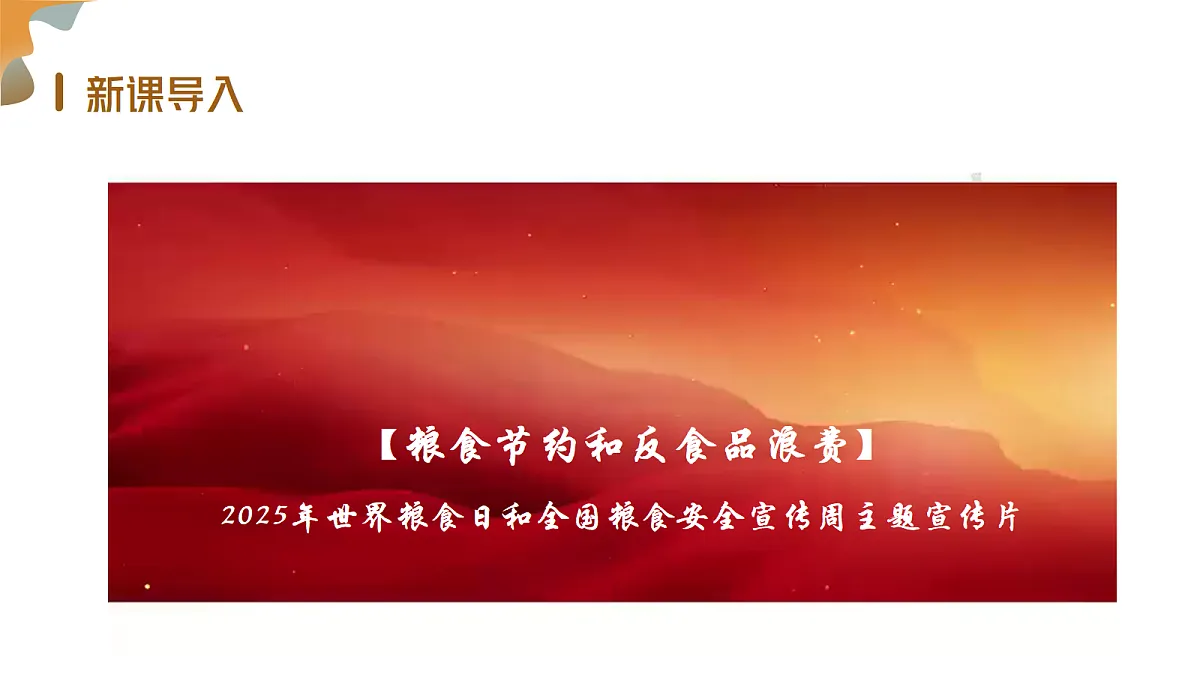 18245483第2页