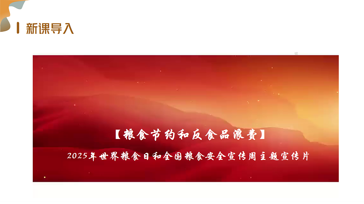18245483第2页