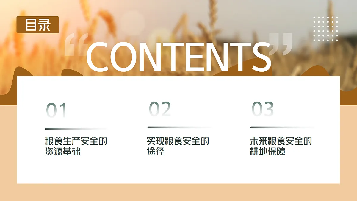 18245483第5页