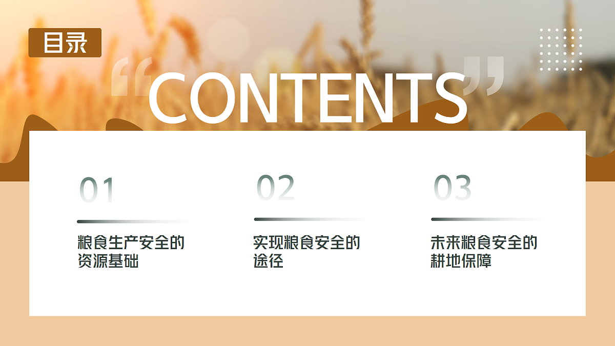 18245483第5页
