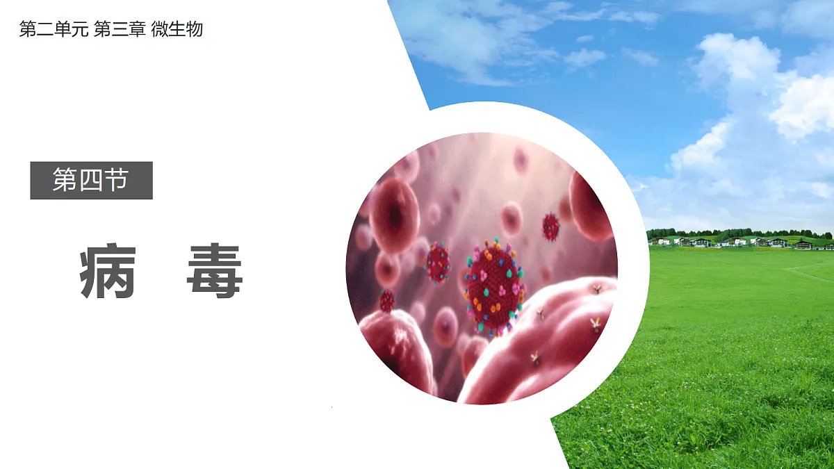 18246344第1页