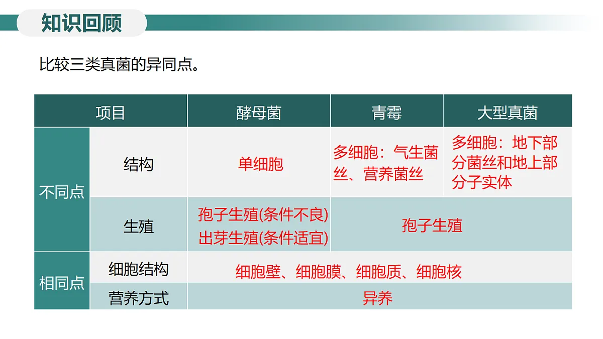 18246344第3页