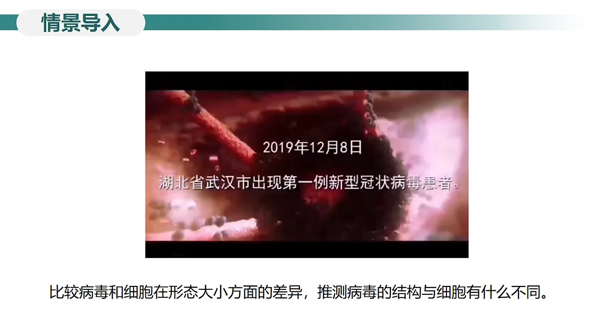 18246344第4页