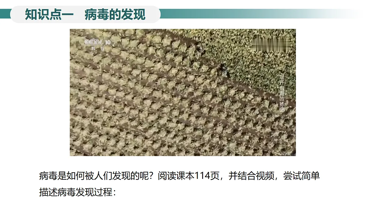 18246344第5页