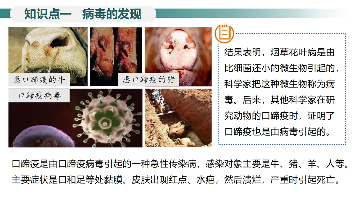 18246344第7页
