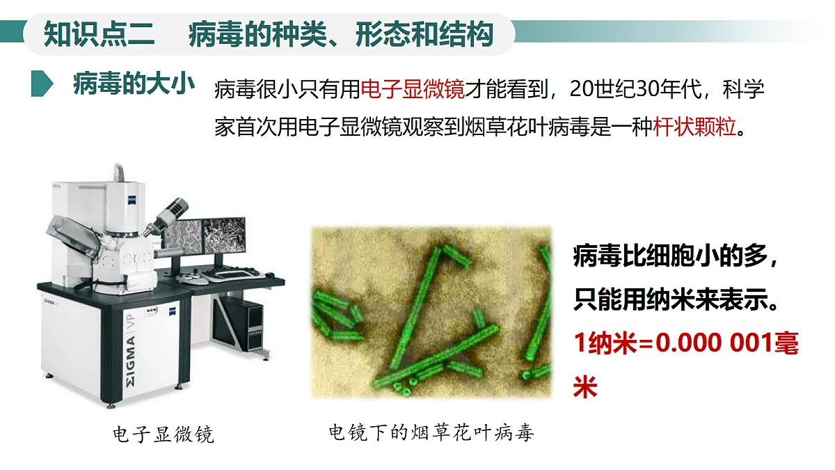 18246344第8页