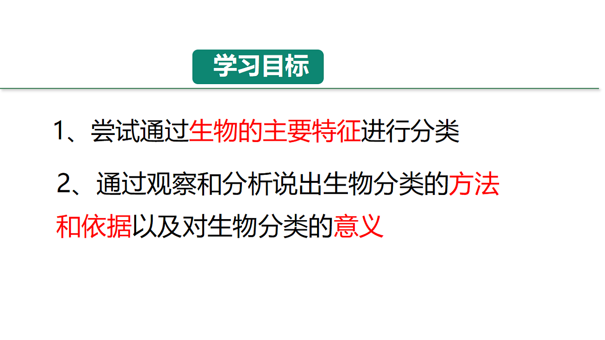 18246345第4页