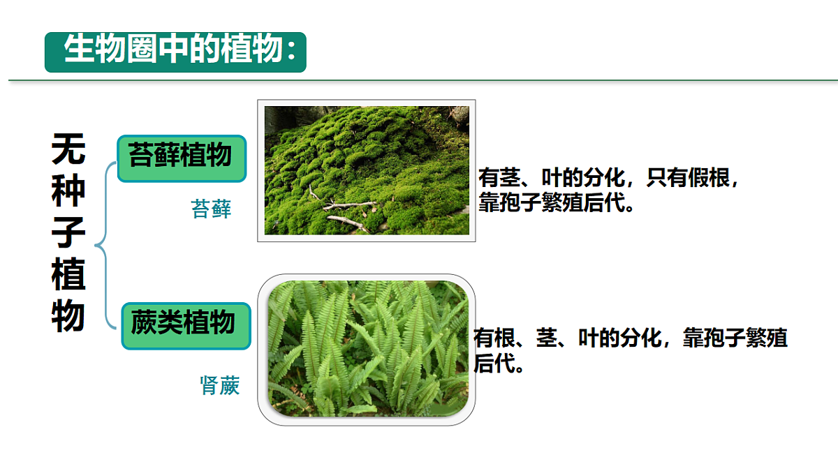 18246345第8页