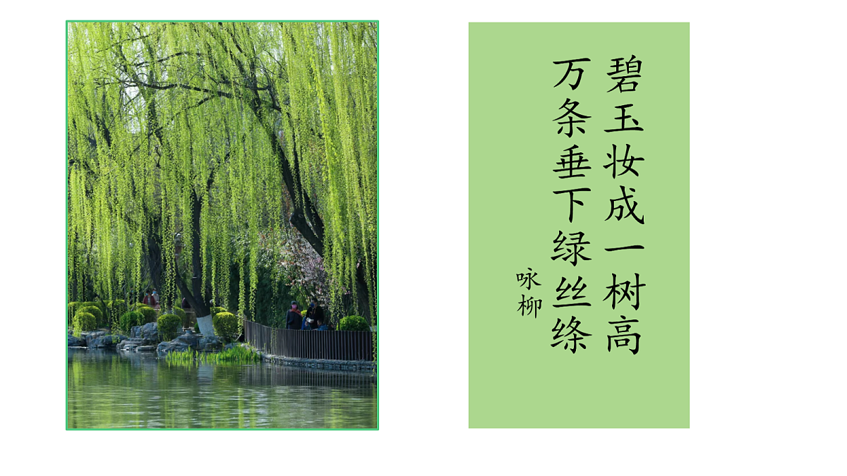 18247337第3页
