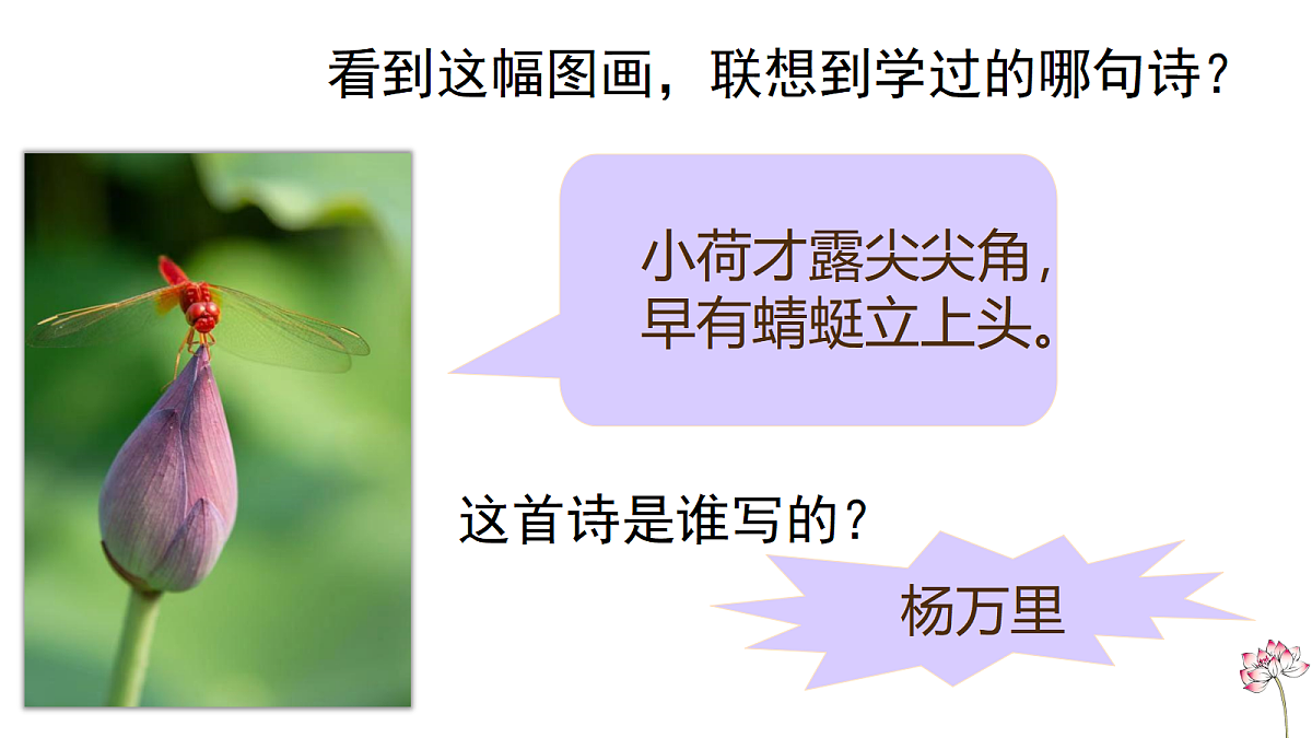 18247337第4页