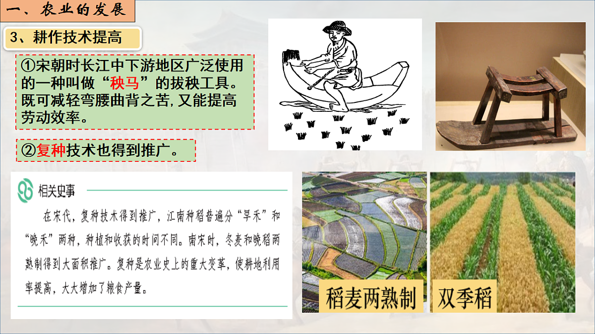 18250953第6页