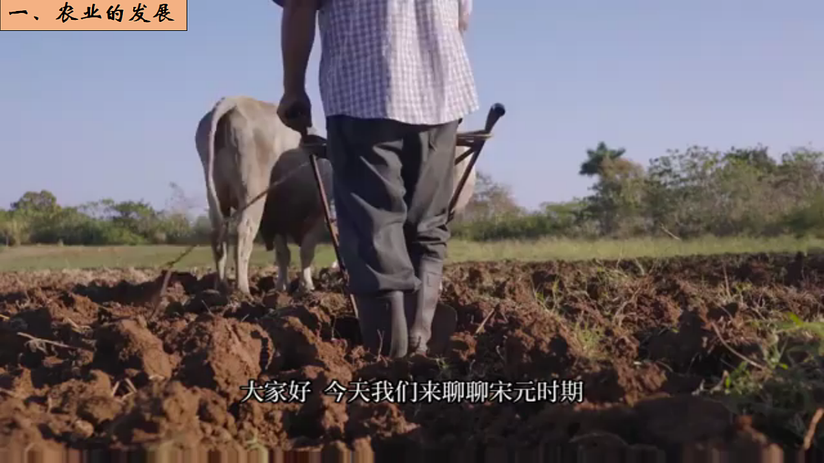 18250953第7页