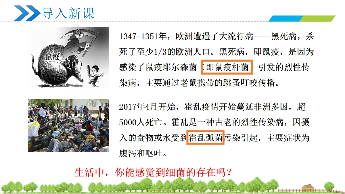 18252548第3页
