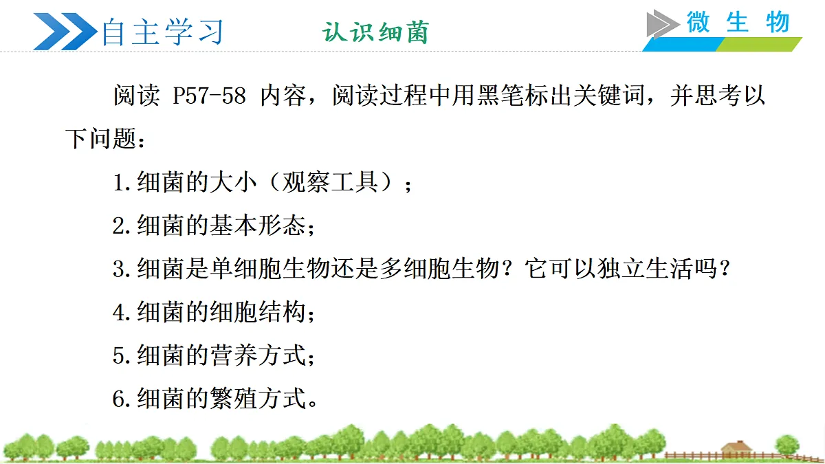 18252548第5页