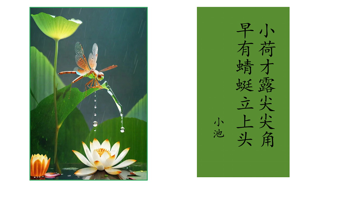 18252785第3页