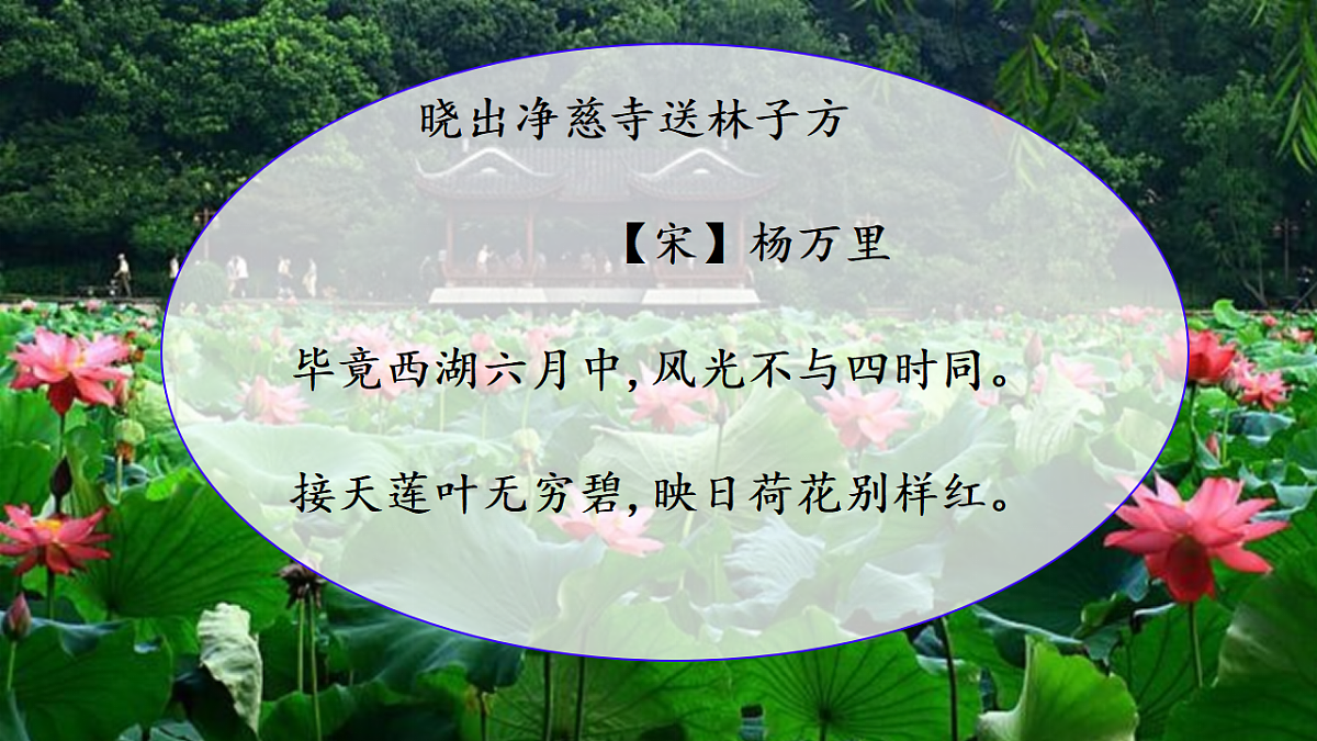 18252785第8页