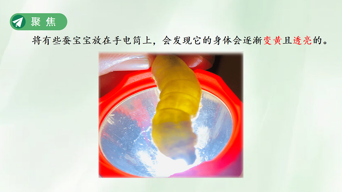 18253577第2页