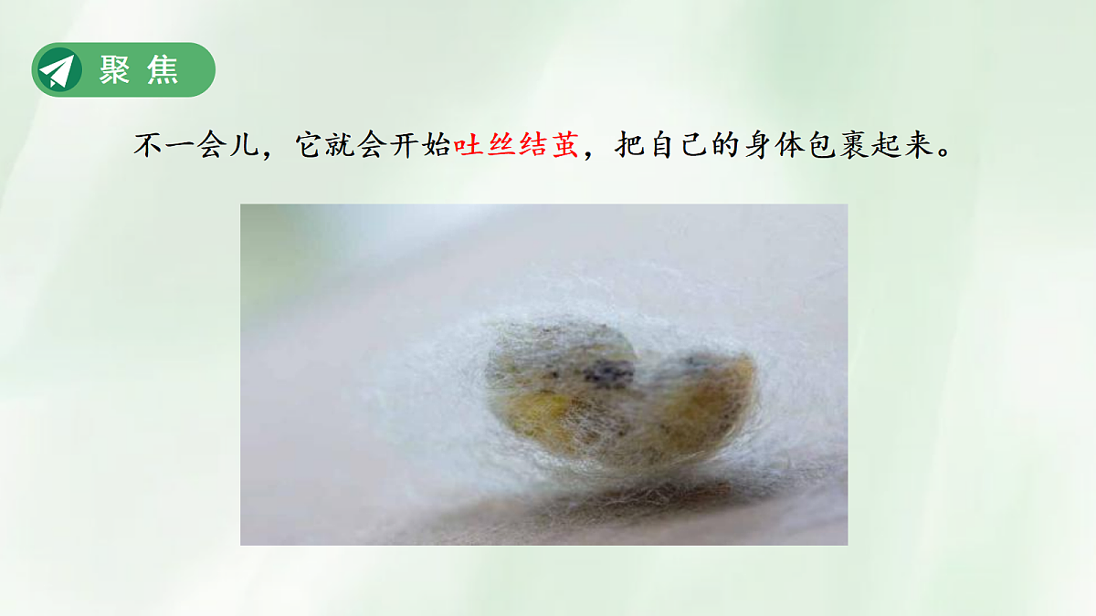 18253577第3页