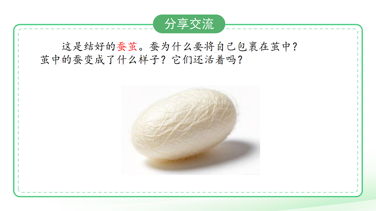 18253577第4页