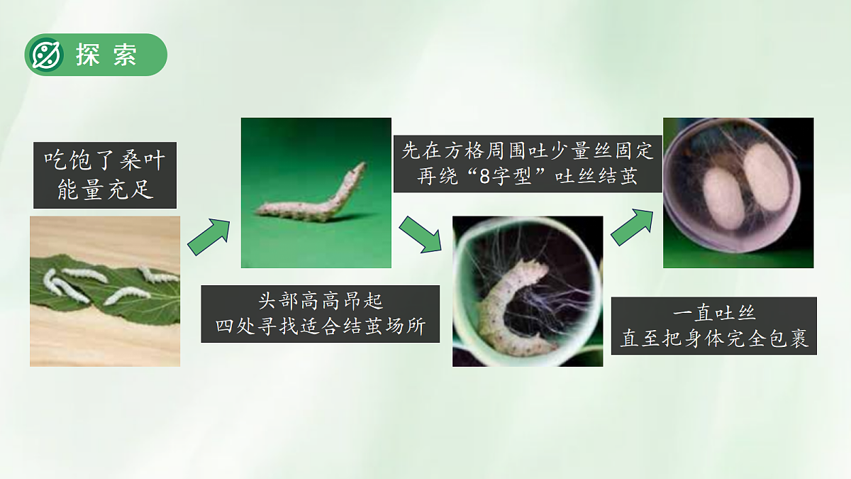 18253577第6页